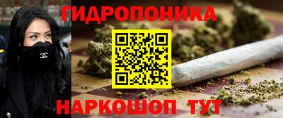 прущие грибы Аргун