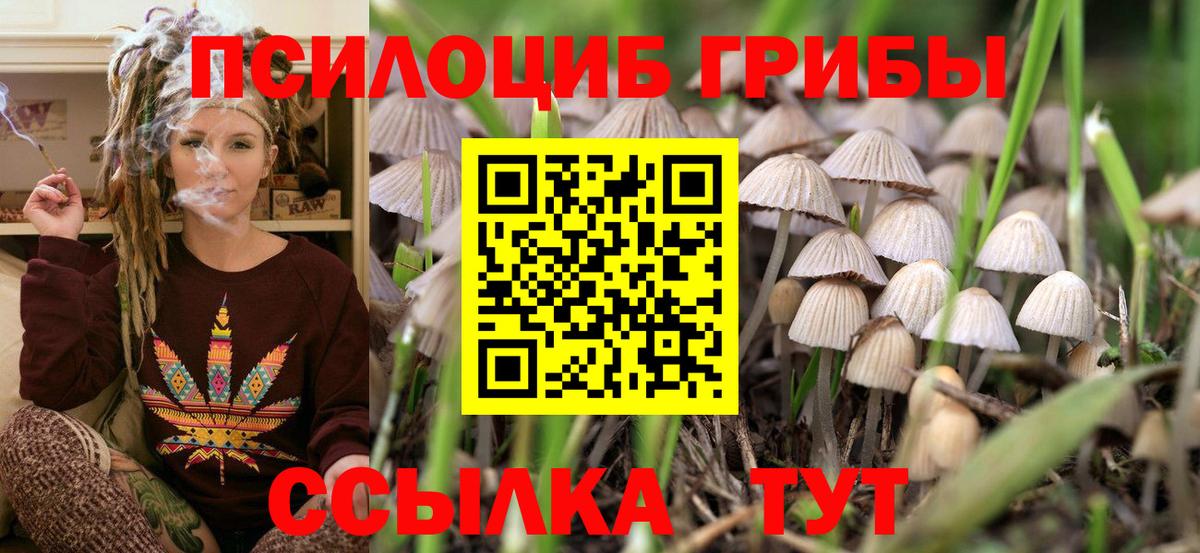 Галлюциногенные грибы Magic Shrooms Дивногорск