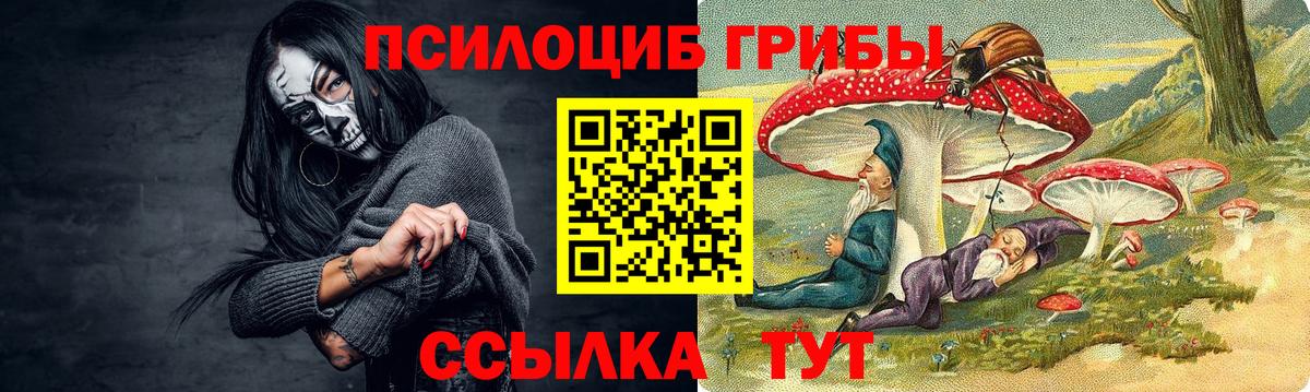 Дивногорск  дарнет шоп  Вход с VPN  Псилоцибиновые грибы ЛСД 