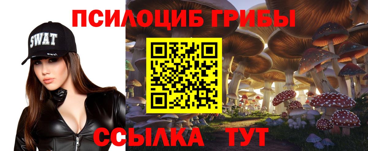 Псилоцибиновые грибы GOLDEN TEACHER  Дивногорск 